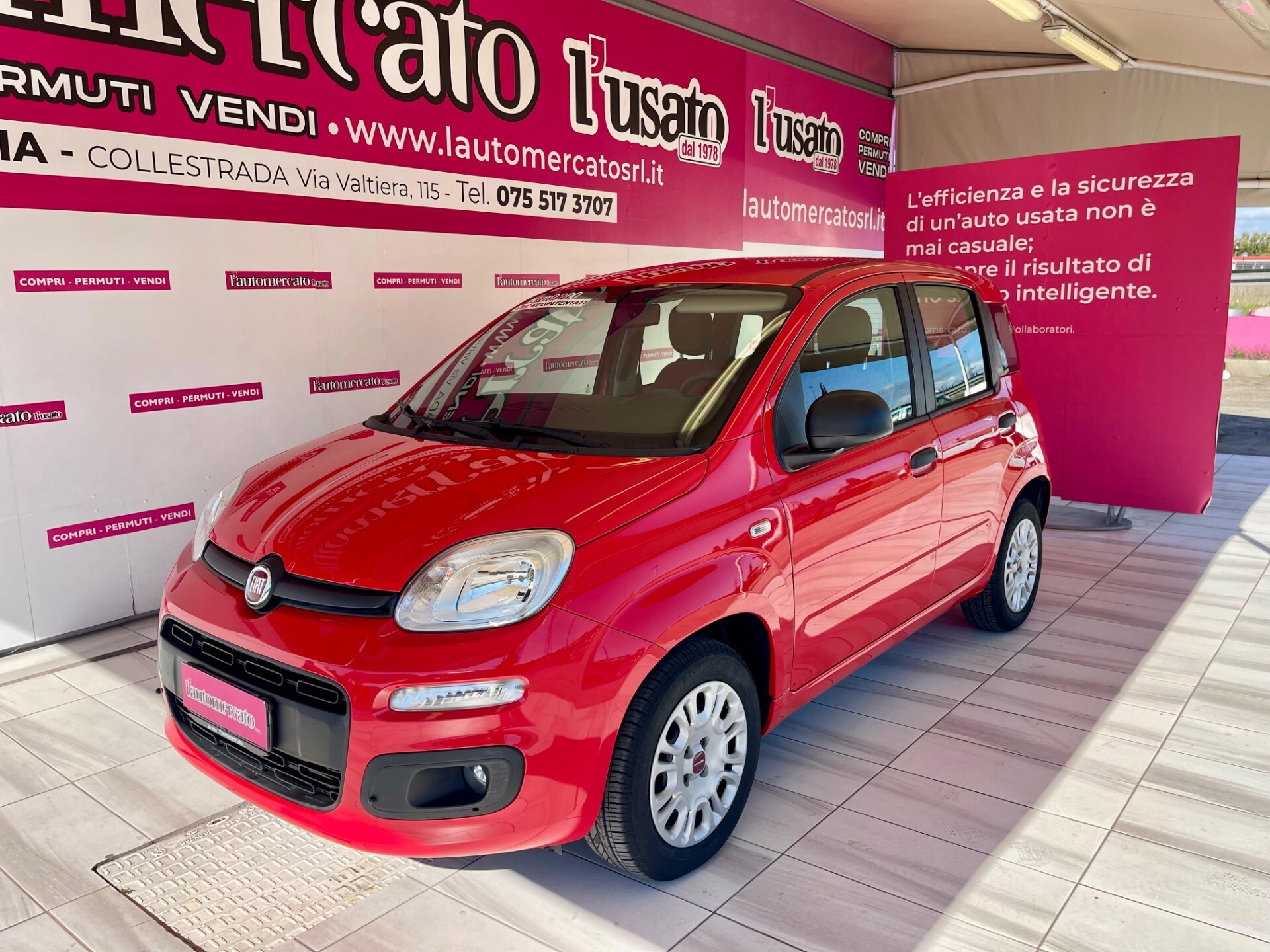 FIAT Panda 3&ordf; serie Panda 1.2 Easy