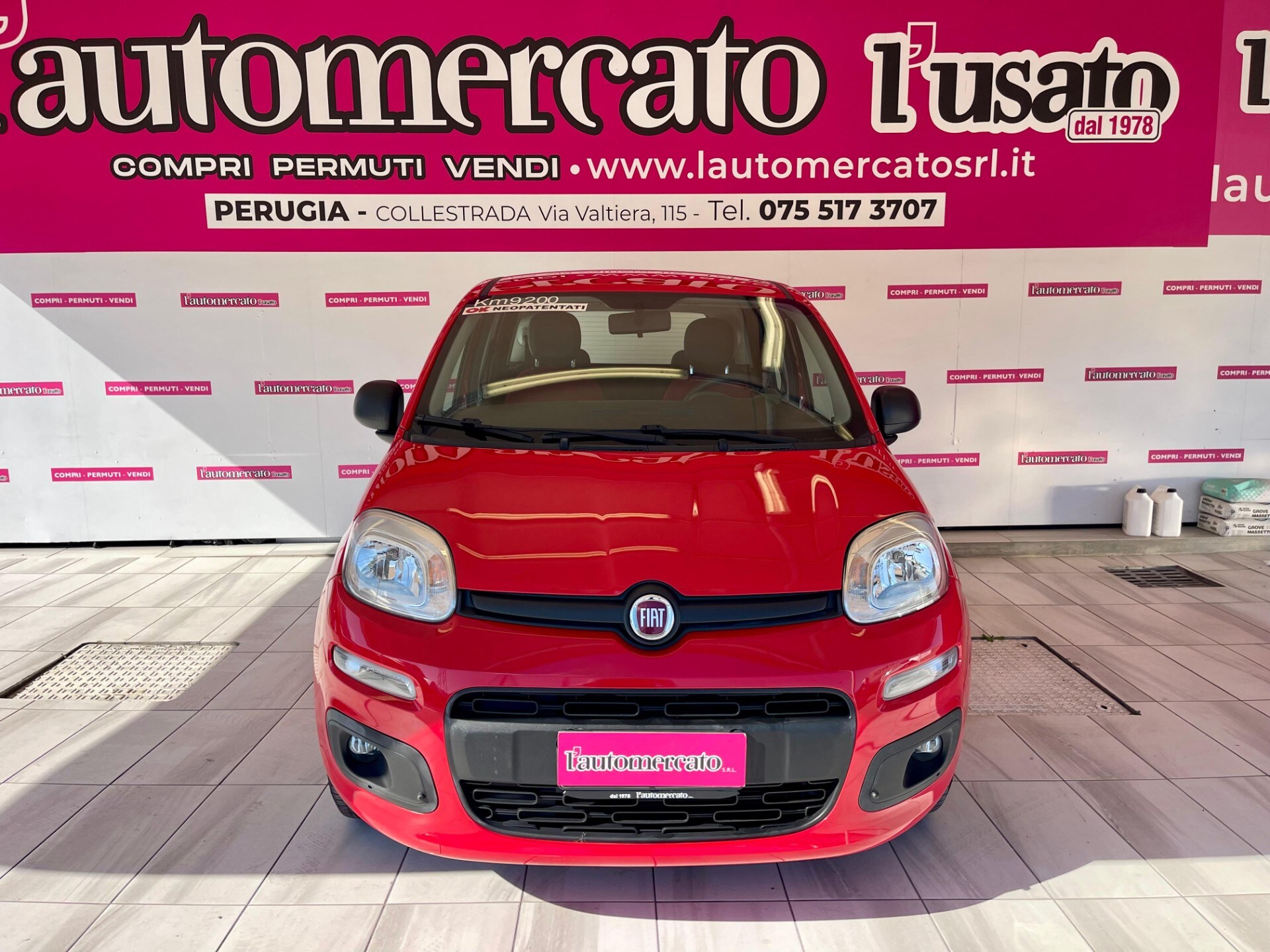 FIAT Panda 3&ordf; serie Panda 1.2 Easy