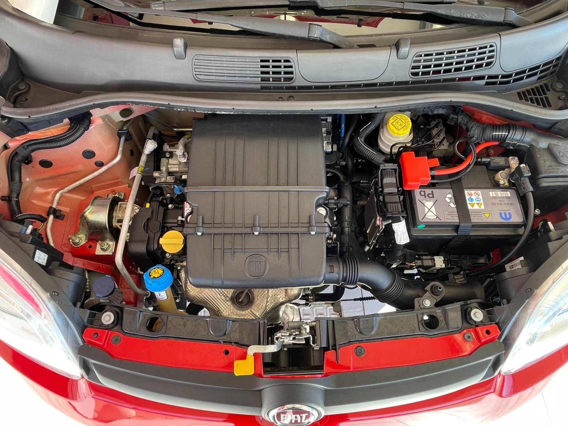 FIAT Panda 3&ordf; serie Panda 1.2 Easy